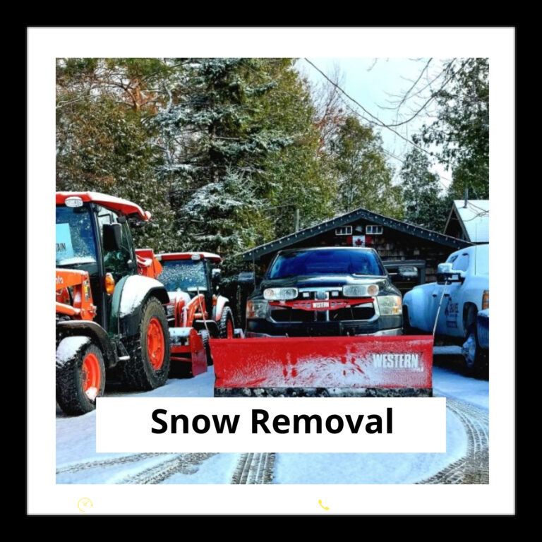 blue mountain snow removal